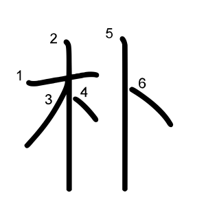 朴