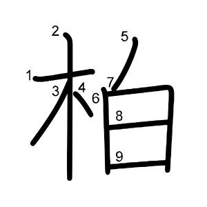 柏