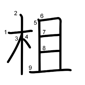 柤