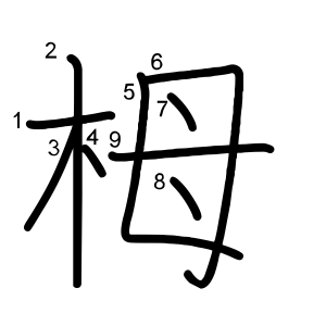 栂
