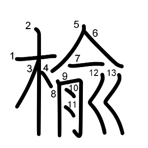 楡