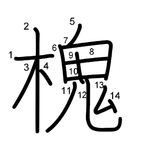 槐