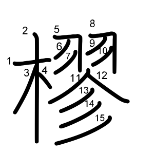 樛
