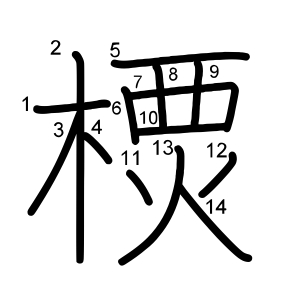樮