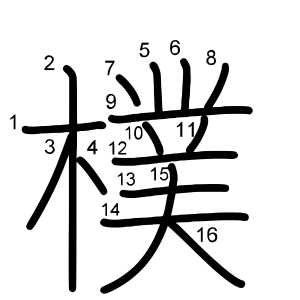 樸