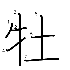 牡