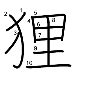 狸