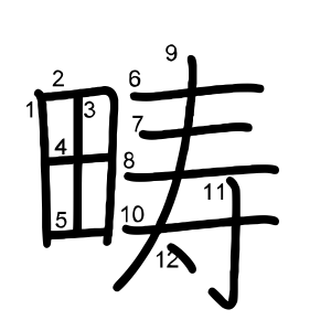 畴