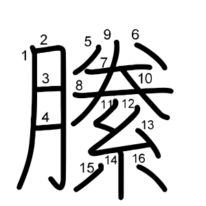 縢