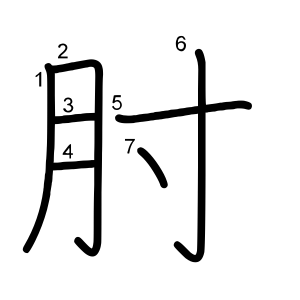 肘