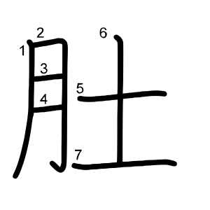 肚