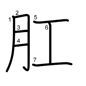 肛