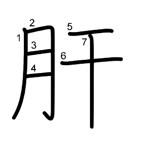 肝