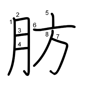 肪