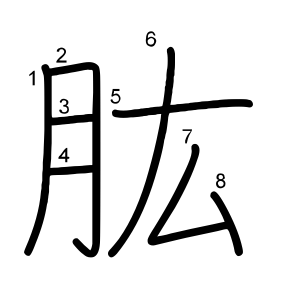 肱