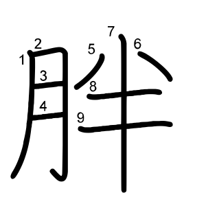 胖