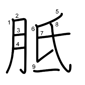 胝