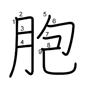 胞
