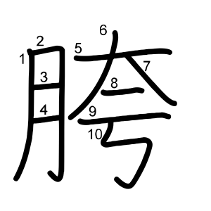 胯