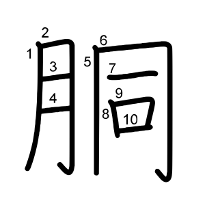 胴