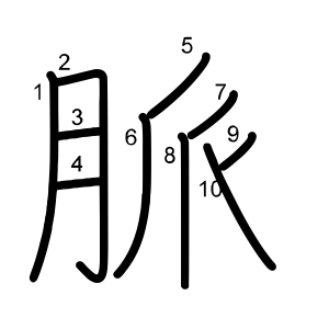 脈
