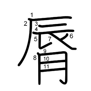 脣