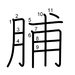 脯
