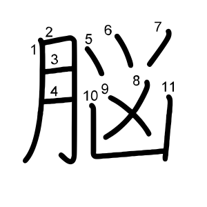 脳