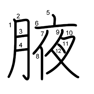 腋