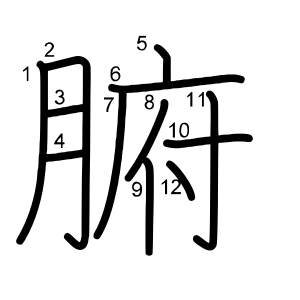 腑