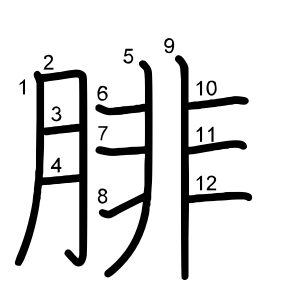 腓