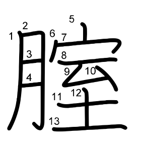 腟