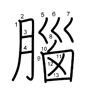 腦