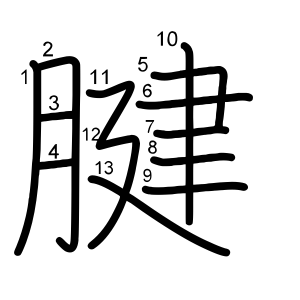 腱
