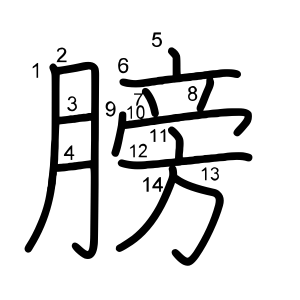 膀