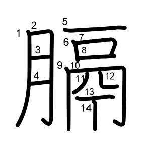 膈