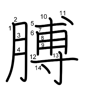 膊