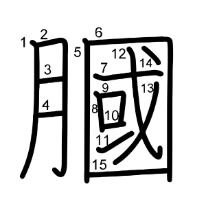 膕
