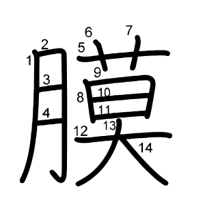 膜