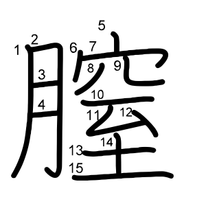 膣