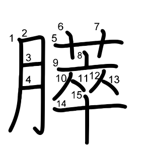 膵
