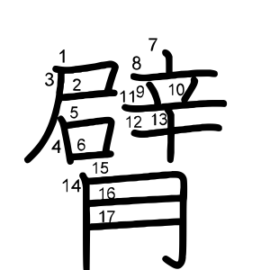 臂