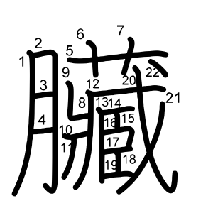 臟