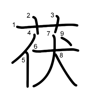 茯