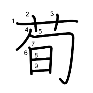 荀