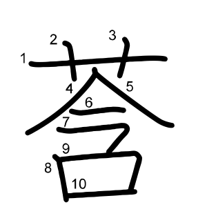 莟