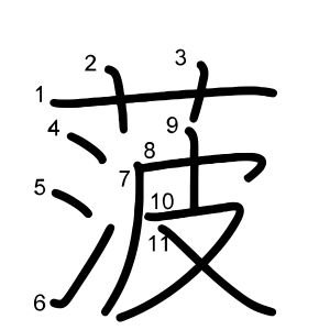 菠