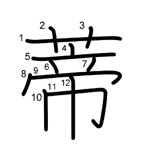 蒂