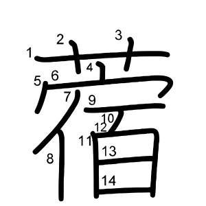 蓿