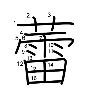 蕾